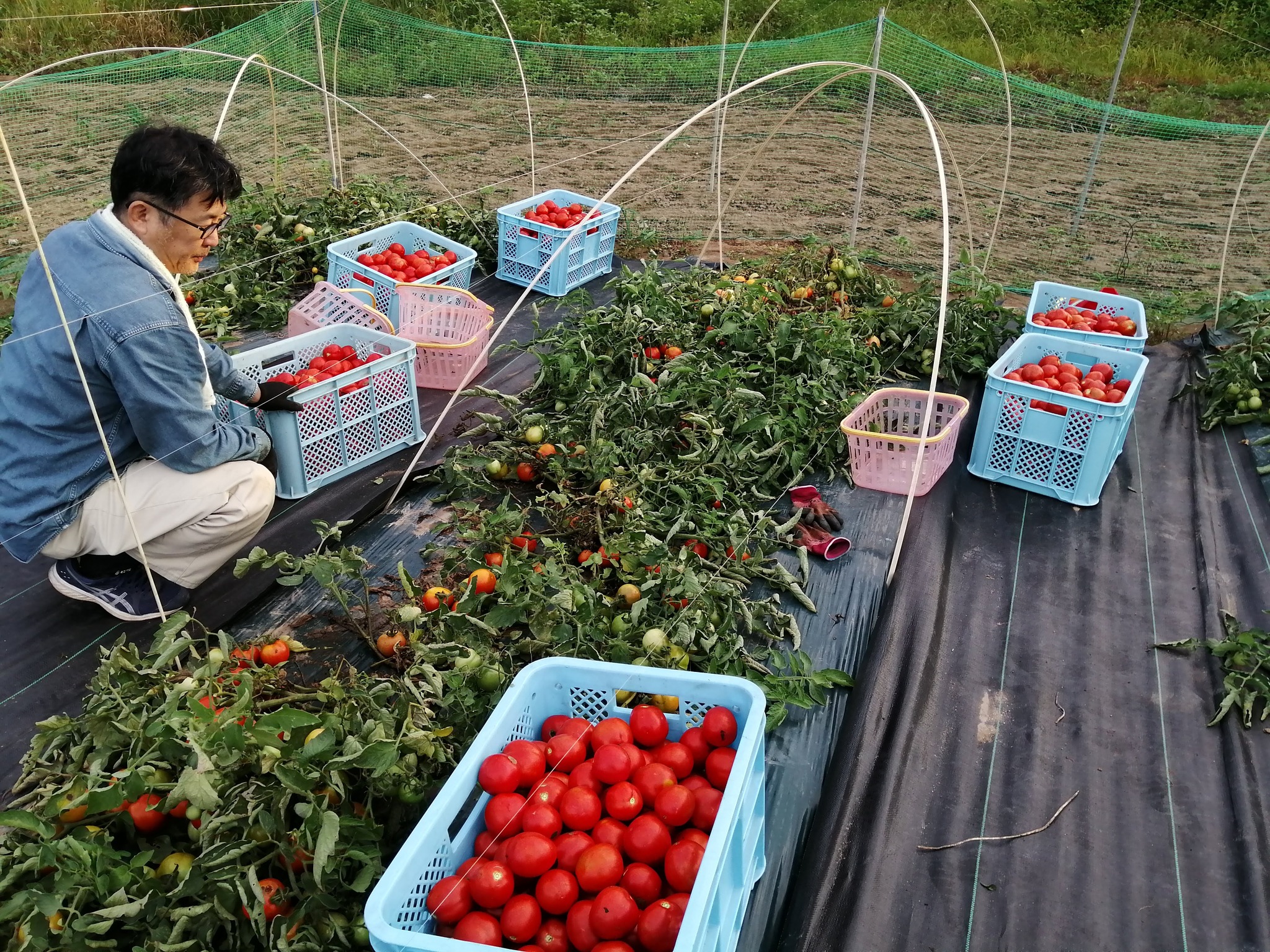 カルーセル画像4