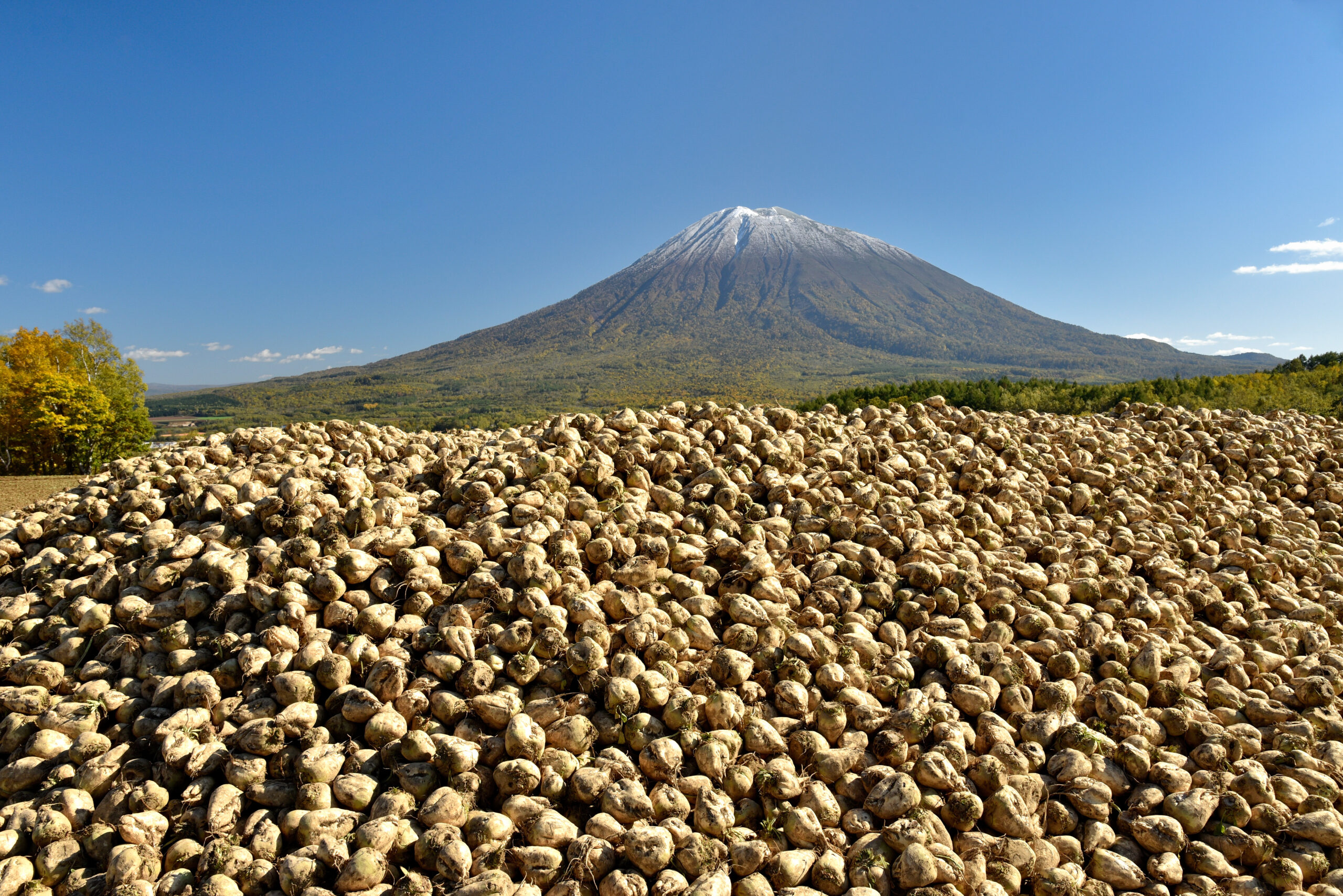 北海道の食を象徴する風景