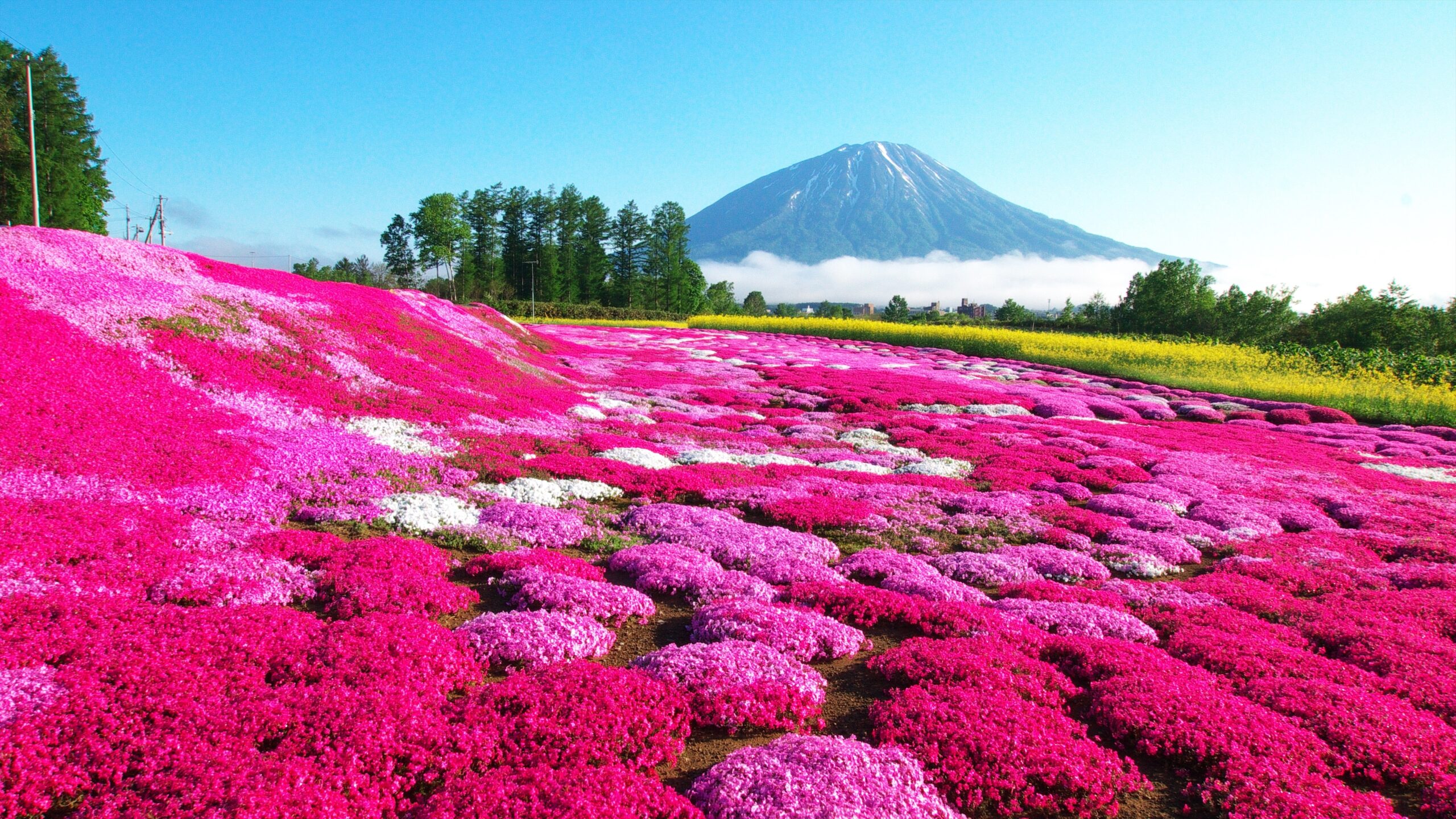 北海道の自然を象徴する風景